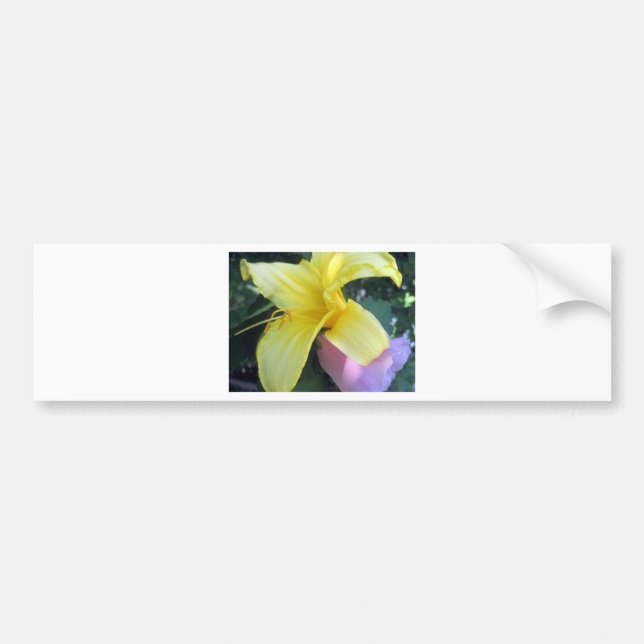 Yellow Lily Bumper Sticker (Front)