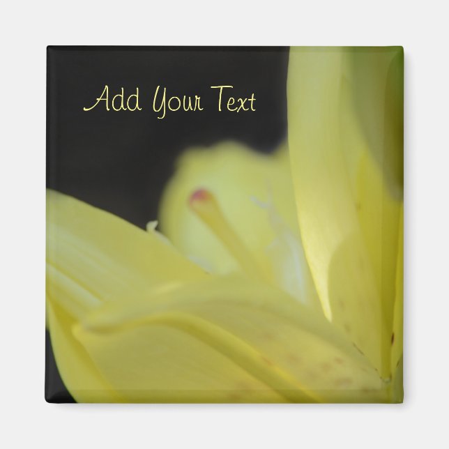 Yellow Lily by Shirley Taylor Magnet (Front)