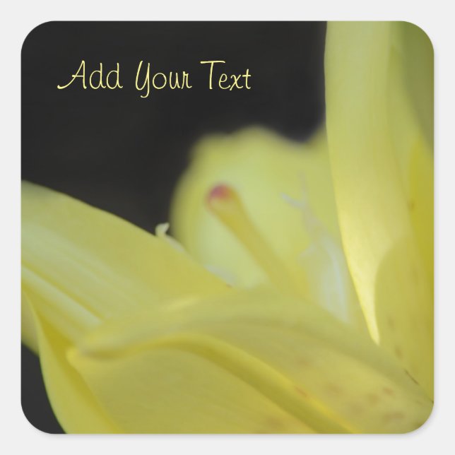 Yellow Lily by Shirley Taylor Square Sticker (Front)
