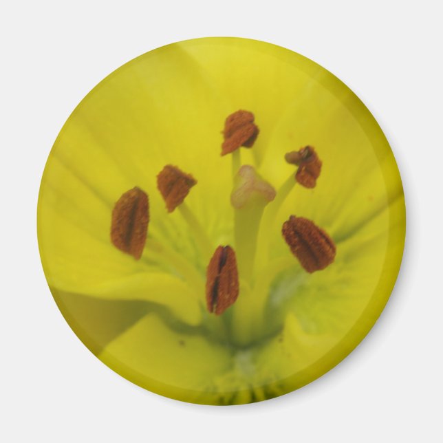 Yellow Lily Floral Magnet (Front)