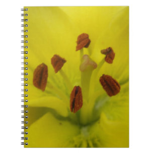 Yellow Lily Floral Notebook
