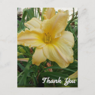 Yellow Lily  Flower Thank You Postcard