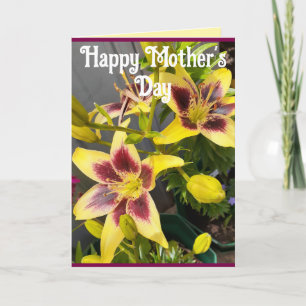 Yellow Lily Lilies Flower floral Mothers Day Card