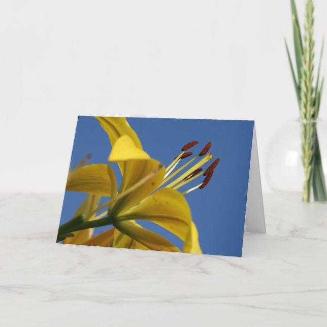 Yellow Lily Mother's Day Card (Front)