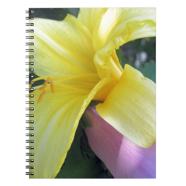 Yellow Lily Notebook (Front)