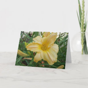 Yellow Lily Stella d'oro Greeting Card