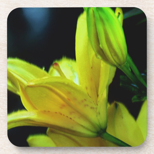 Yellow Lily with Wind Effect by Shirley Taylor Coaster (Front)