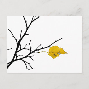 Yellow Lime Tree Leaf Postcard