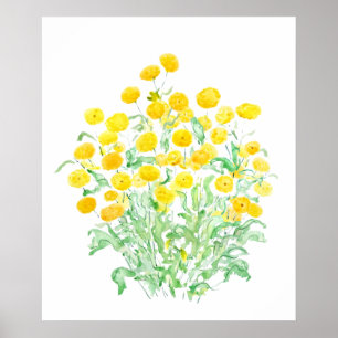 yellow little florist daisy bunches watercolor  poster