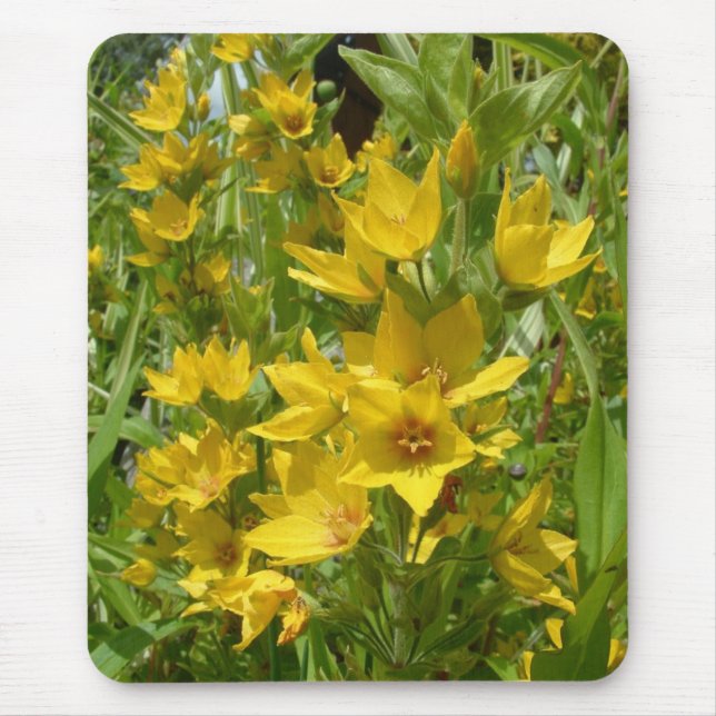 Yellow Loosestrife Mousemat (Front)