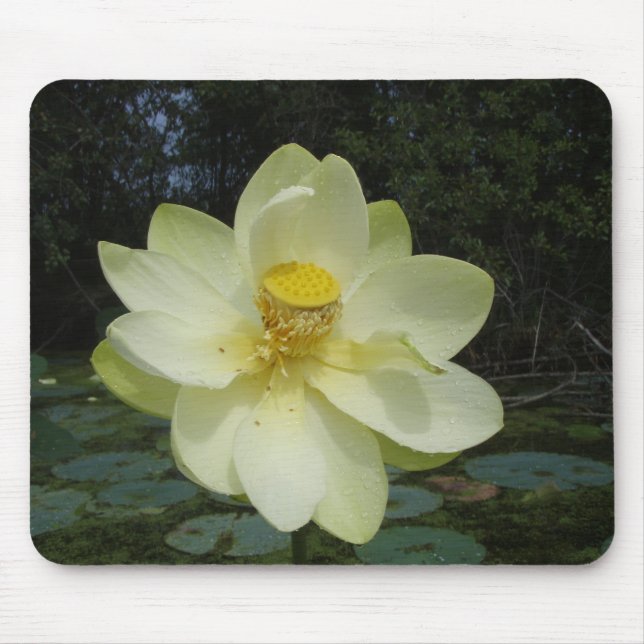 Yellow Lotus Flower Mouse Pad (Front)