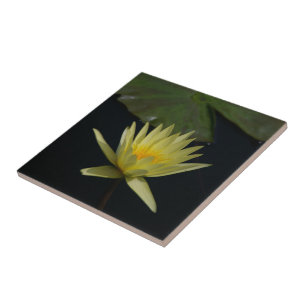 Yellow Lotus Waterlily Tile