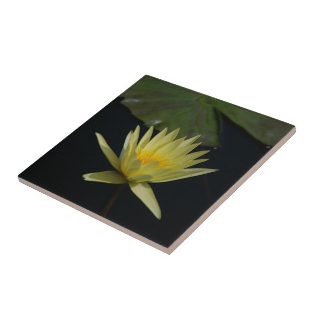 Yellow Lotus Waterlily Tile (Side)
