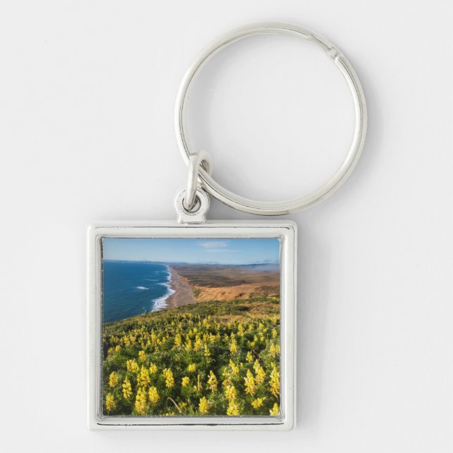 Yellow Lupine Above Point Reyes Beach At Point Key Ring (Front)