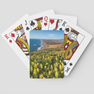 Yellow Lupine Above Point Reyes Beach At Point Playing Cards