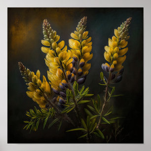 Yellow Lupine Flower Art Print Poster