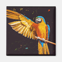 Yellow Macaw Parrot