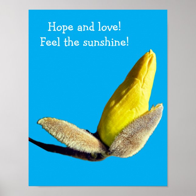 Yellow Magnolia Bud Poster (Front)