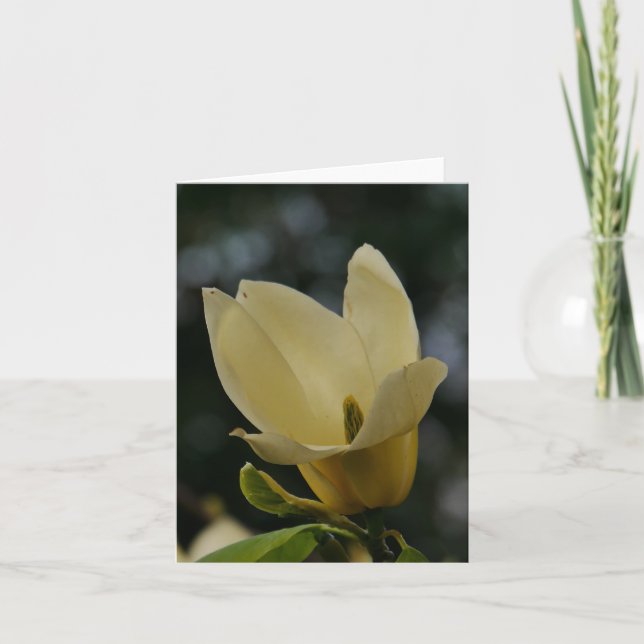 Yellow Magnolia Card (Front)
