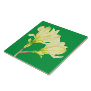 Yellow Magnolias on a Ceramic Tile (1G)