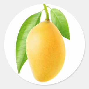 Yellow mango classic round sticker