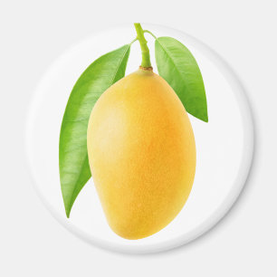 Yellow mango magnet