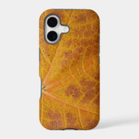 Yellow Maple Leaf Autumn Abstract Nature