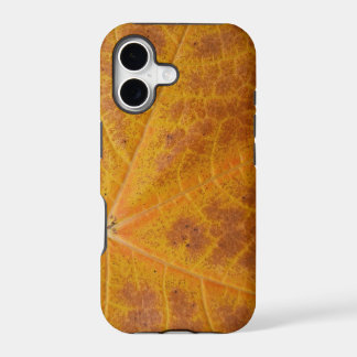 Yellow Maple Leaf Autumn Abstract Nature