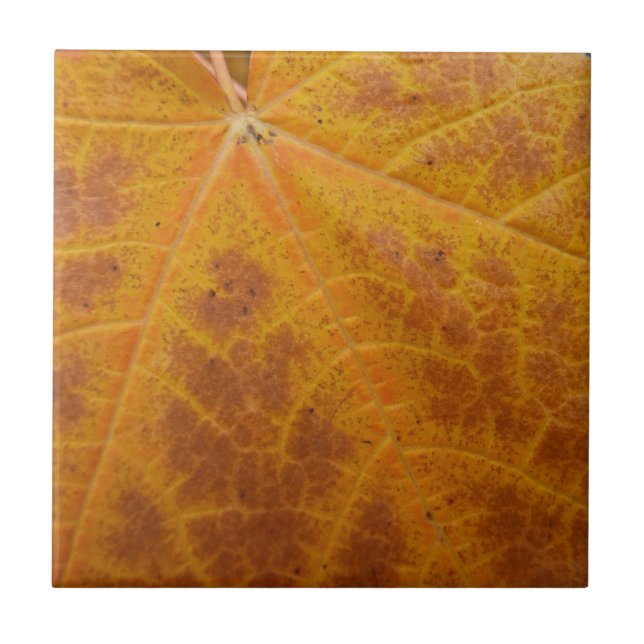 Yellow Maple Leaf Autumn Abstract Nature Tile (Front)