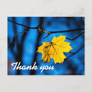 Yellow Maple Leaf On Blue Postcard