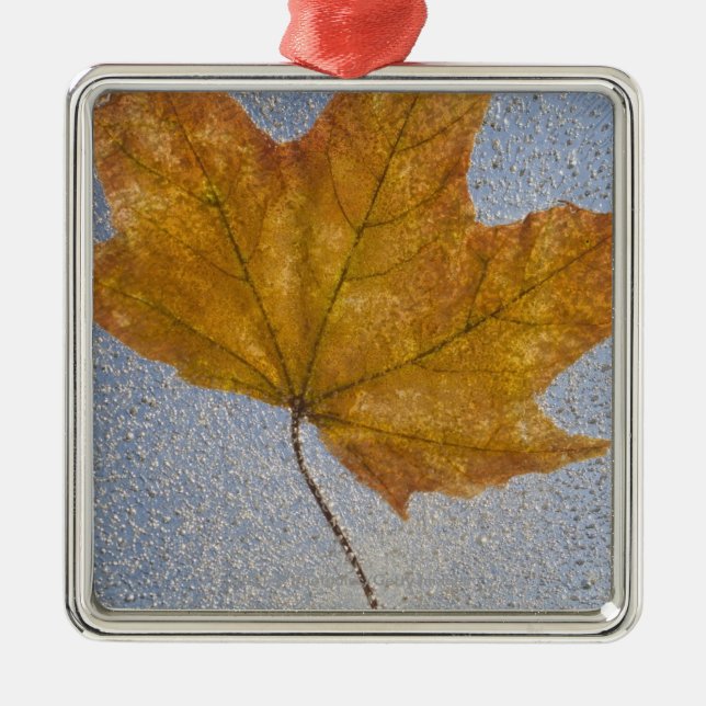 Yellow Maple Leaf Under Water Metal Tree Decoration (Front)