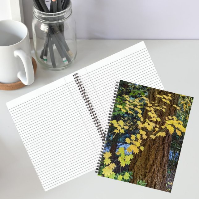 Yellow Maple Leaves and Douglas Fir Notebook (In Situ)
