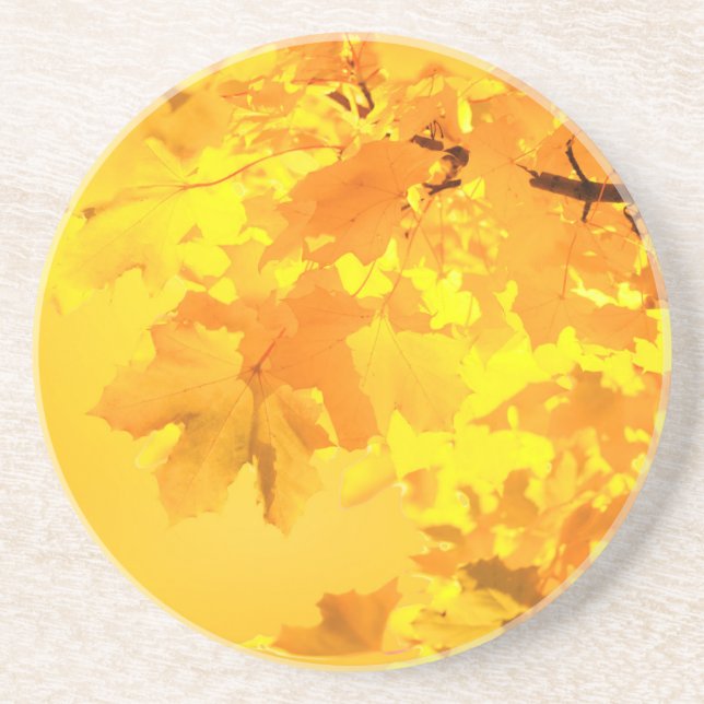Yellow Maple Sandstone Coaster (Front)
