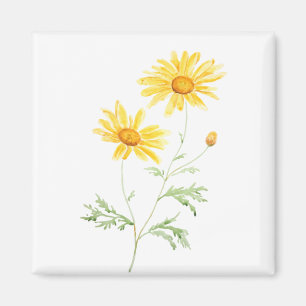 Yellow Margaret daisy watercolor Magnet