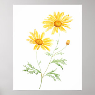 Yellow Margaret daisy watercolor  Poster