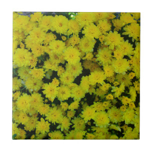 Yellow Margarita Daisy Tile