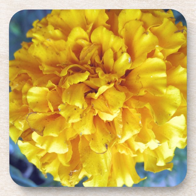 Yellow Marigold Coaster (Front)
