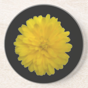 Yellow Marigold Coasters