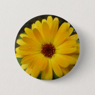 Yellow Marigold Macro Button