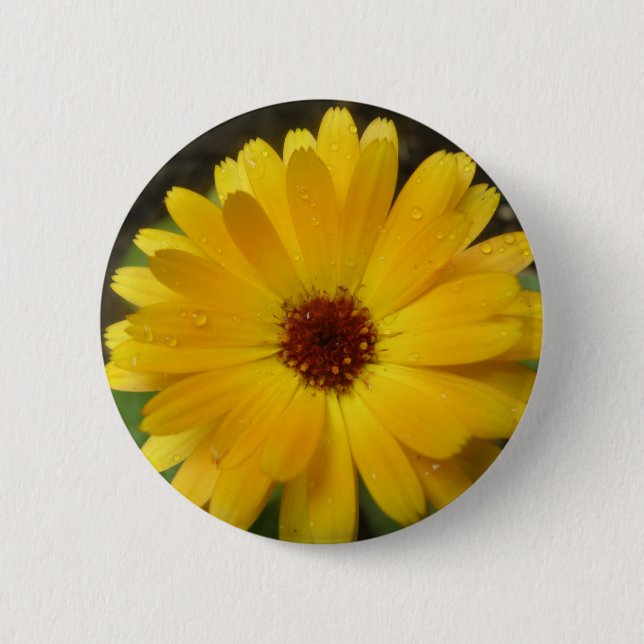 Yellow Marigold Macro Button (Front)