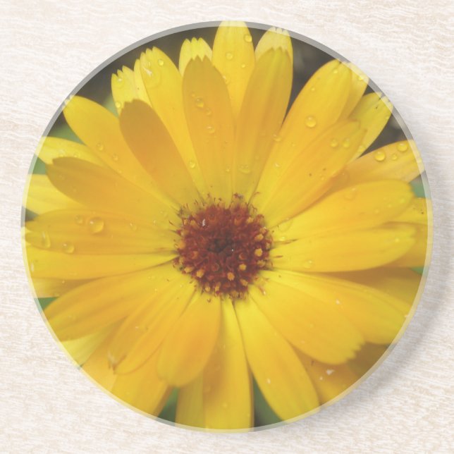 Yellow Marigold Macro Coasters (Front)