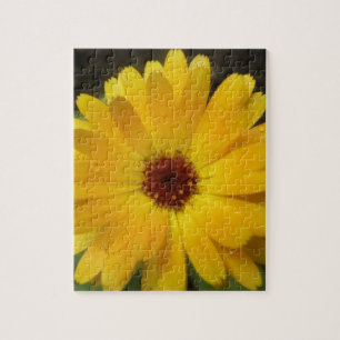 Yellow Marigold Macro Puzzle