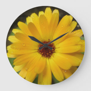 Yellow Marigold Macro Wall Clock