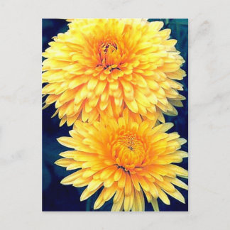 Yellow Marigold Postcard