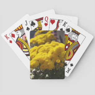 Yellow marigolds bask in sunlight playing cards