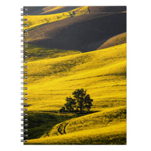Yellow meadow field in the wind notebook