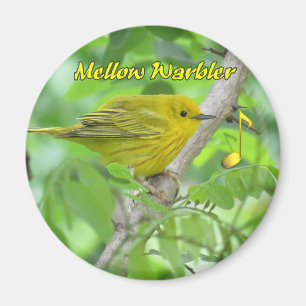 Yellow (Mellow) Warbler magnet
