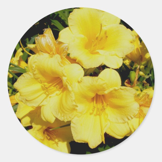 Yellow Mini Lilies Stickers (Front)