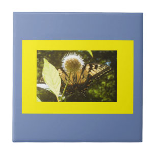 Yellow Monarch Blue Framed Ceramic Tile
