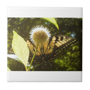 Yellow Monarch Ceramic Tile
